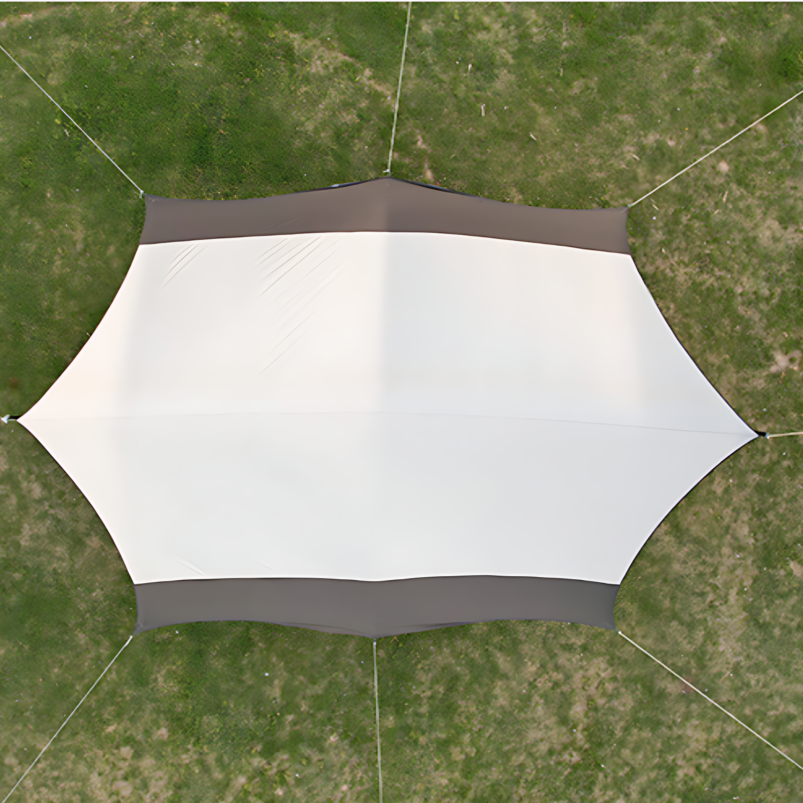 4mm tent paracord