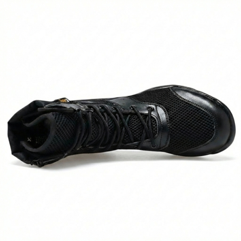 Anfibi leggeri estivi