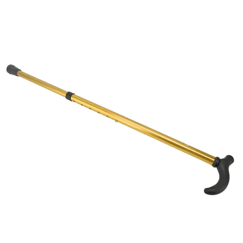 Baton de marche canne randonnée