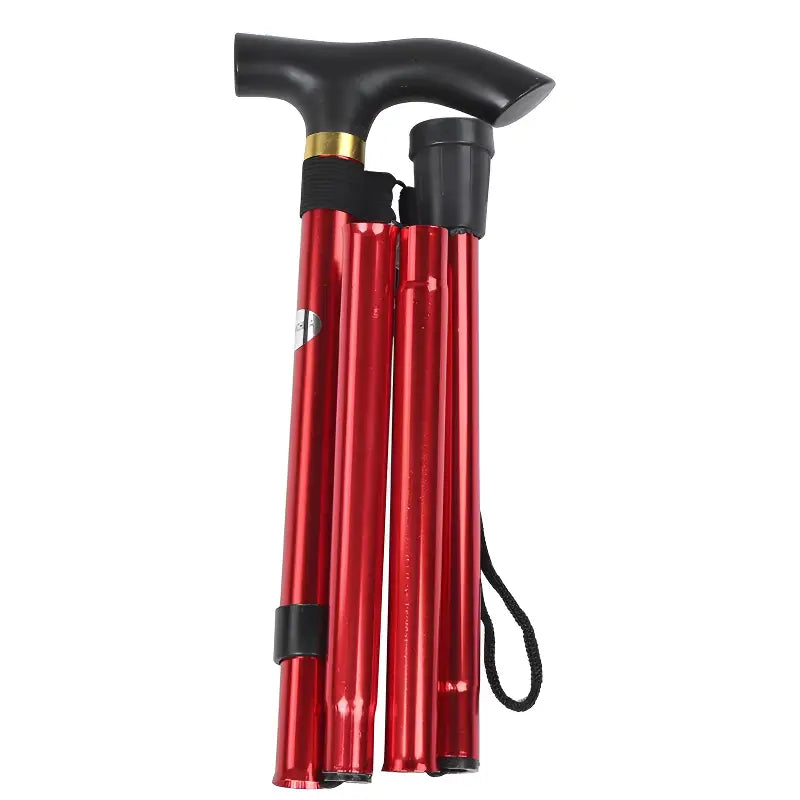 Baton de marche canne randonnée