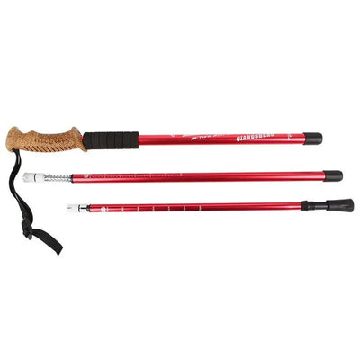 Bâton de randonnée antichoc