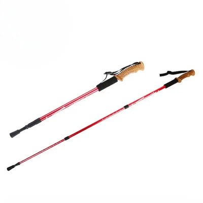 Bâton de randonnée antichoc