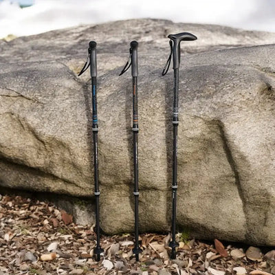 baton de randonnée en carbone