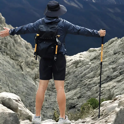 Baton de randonnée montagne