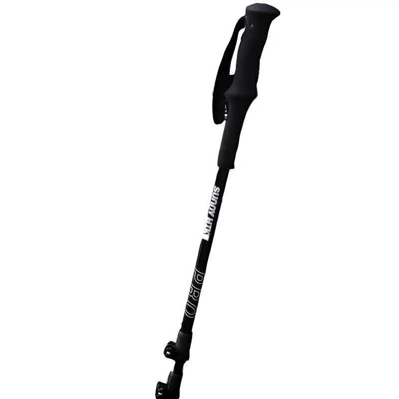 Baton de randonnée montagne