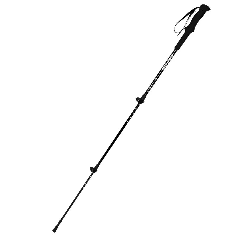 Baton de randonnée montagne