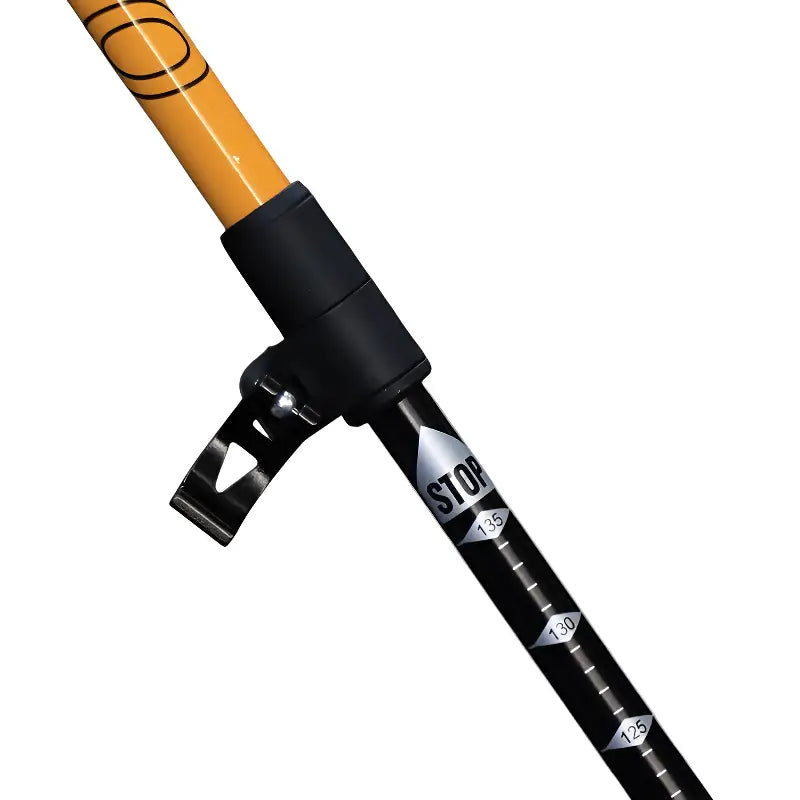 Baton de randonnée montagne