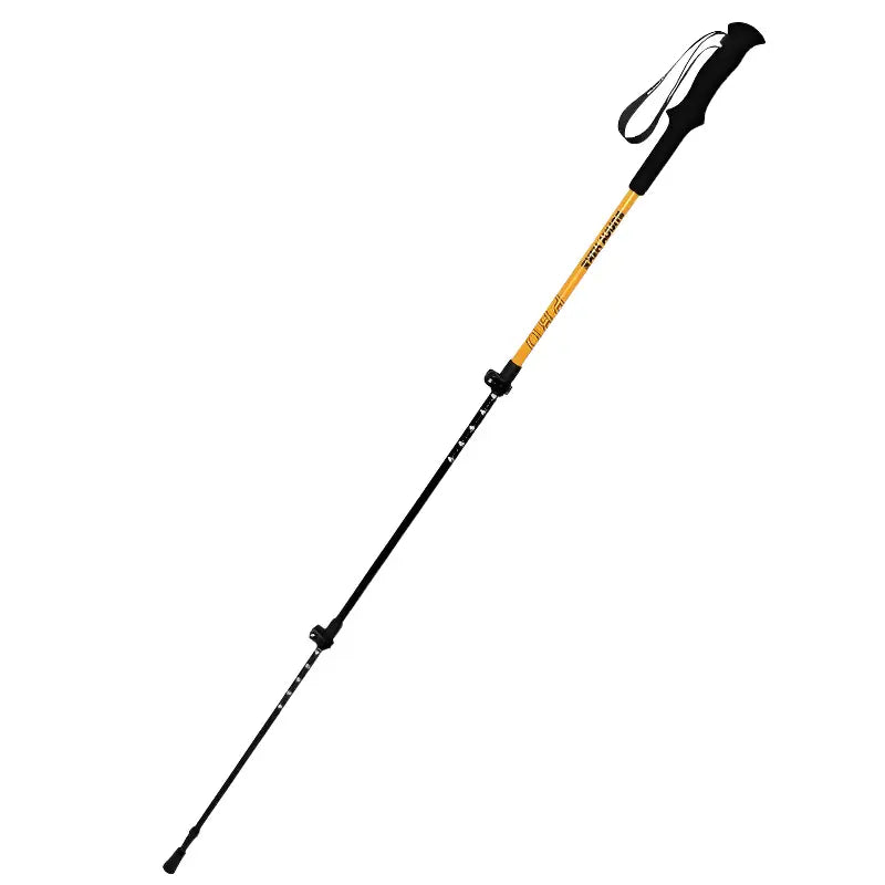 Baton de randonnée montagne