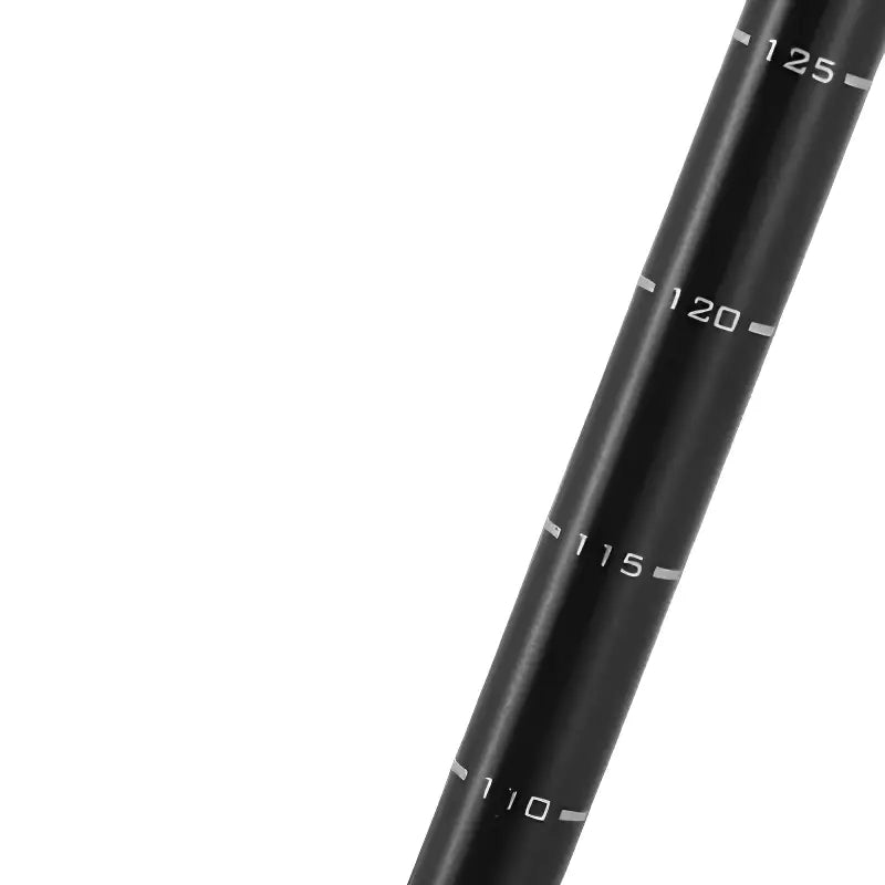 Baton de randonnée montagne