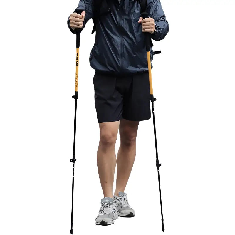 Baton de randonnée montagne