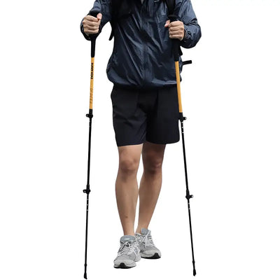 Baton de randonnée montagne