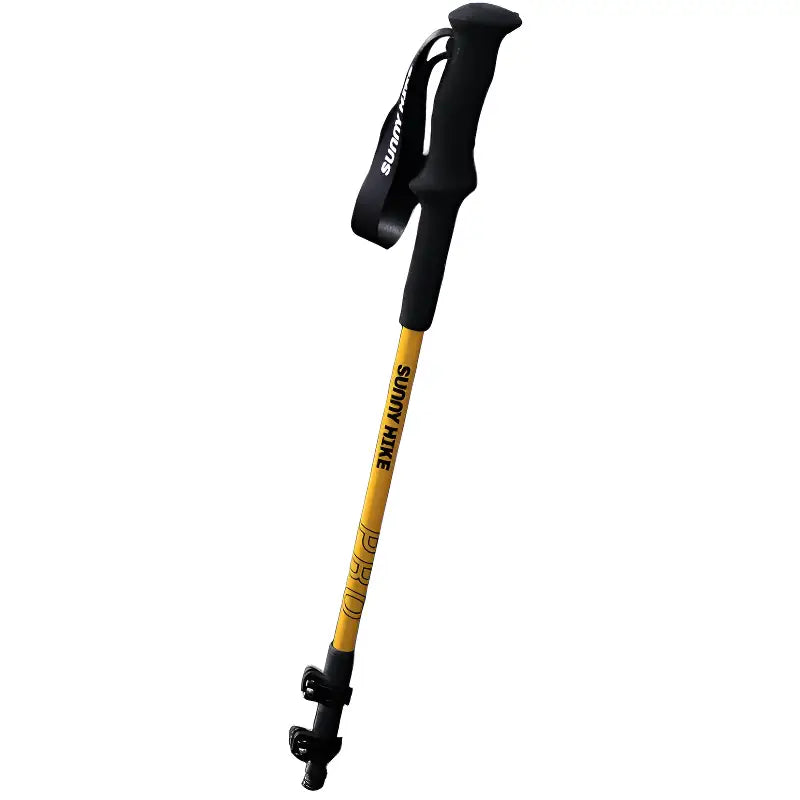 Baton de randonnée montagne