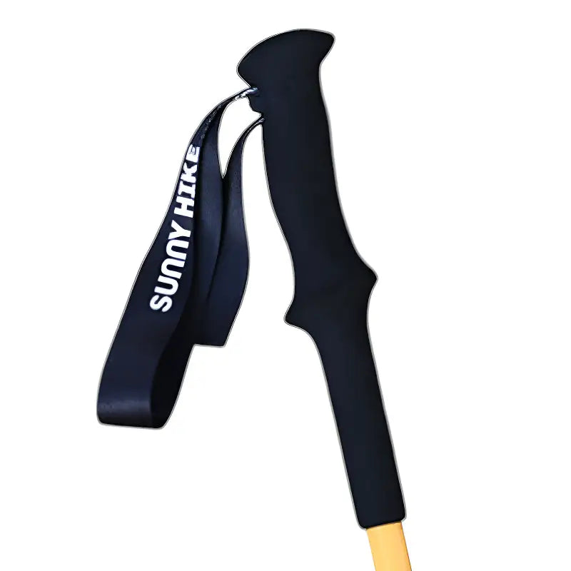 Baton de randonnée montagne