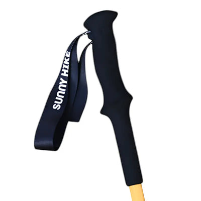 Baton de randonnée montagne