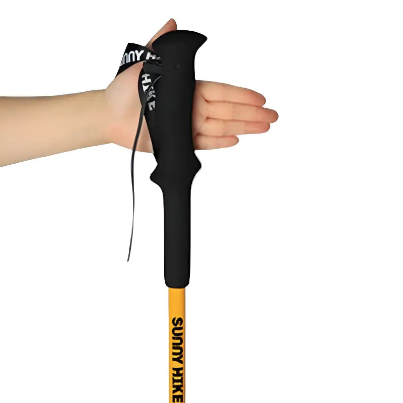 Baton de randonnée montagne