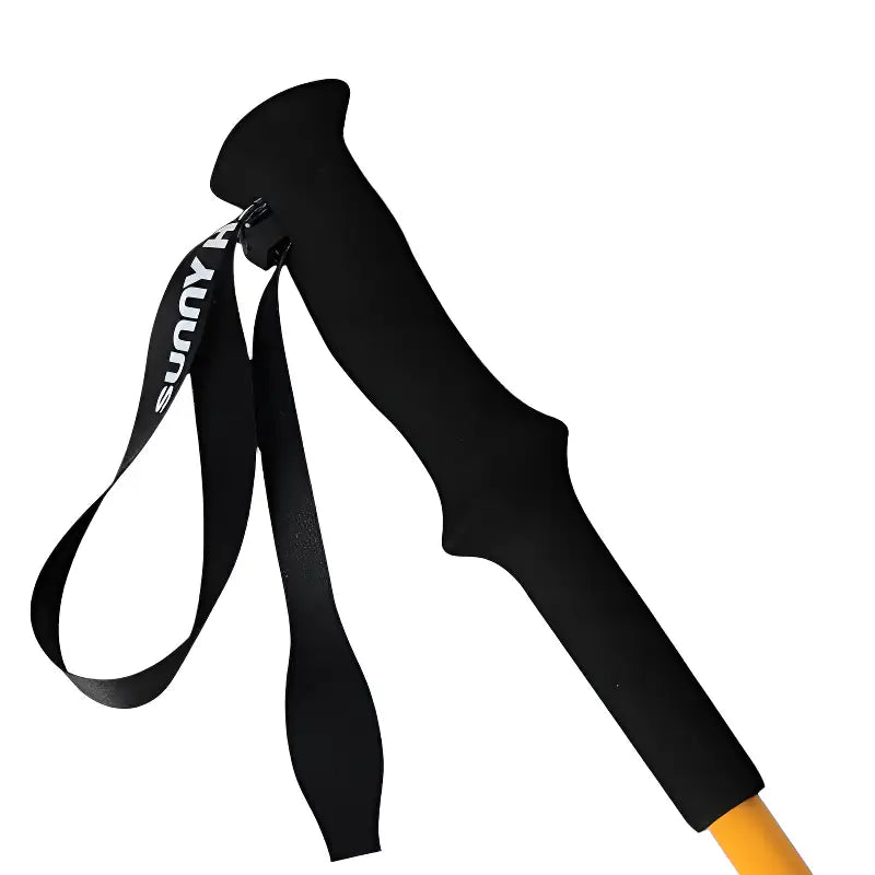 Baton de randonnée montagne