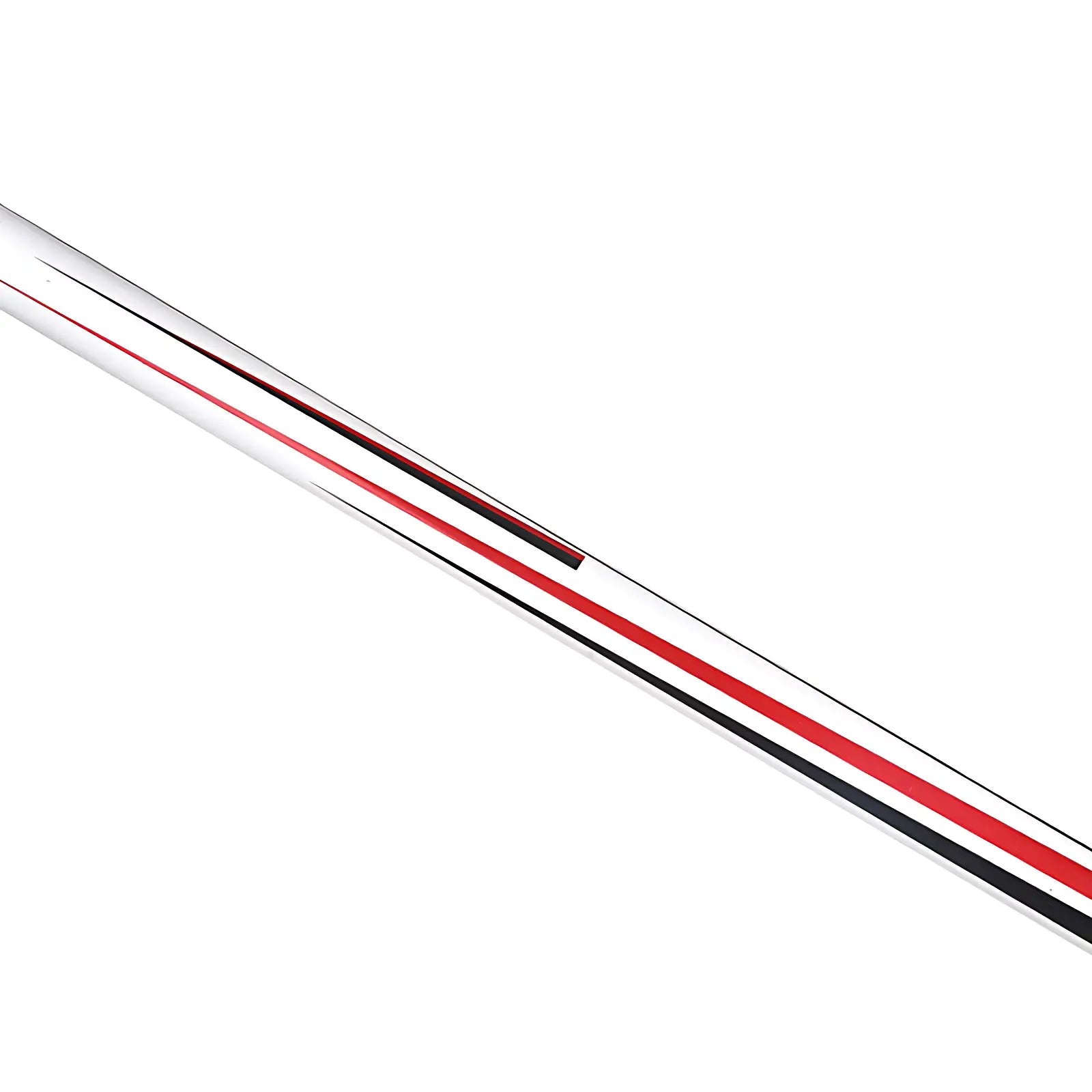 Baton de randonnée neige
