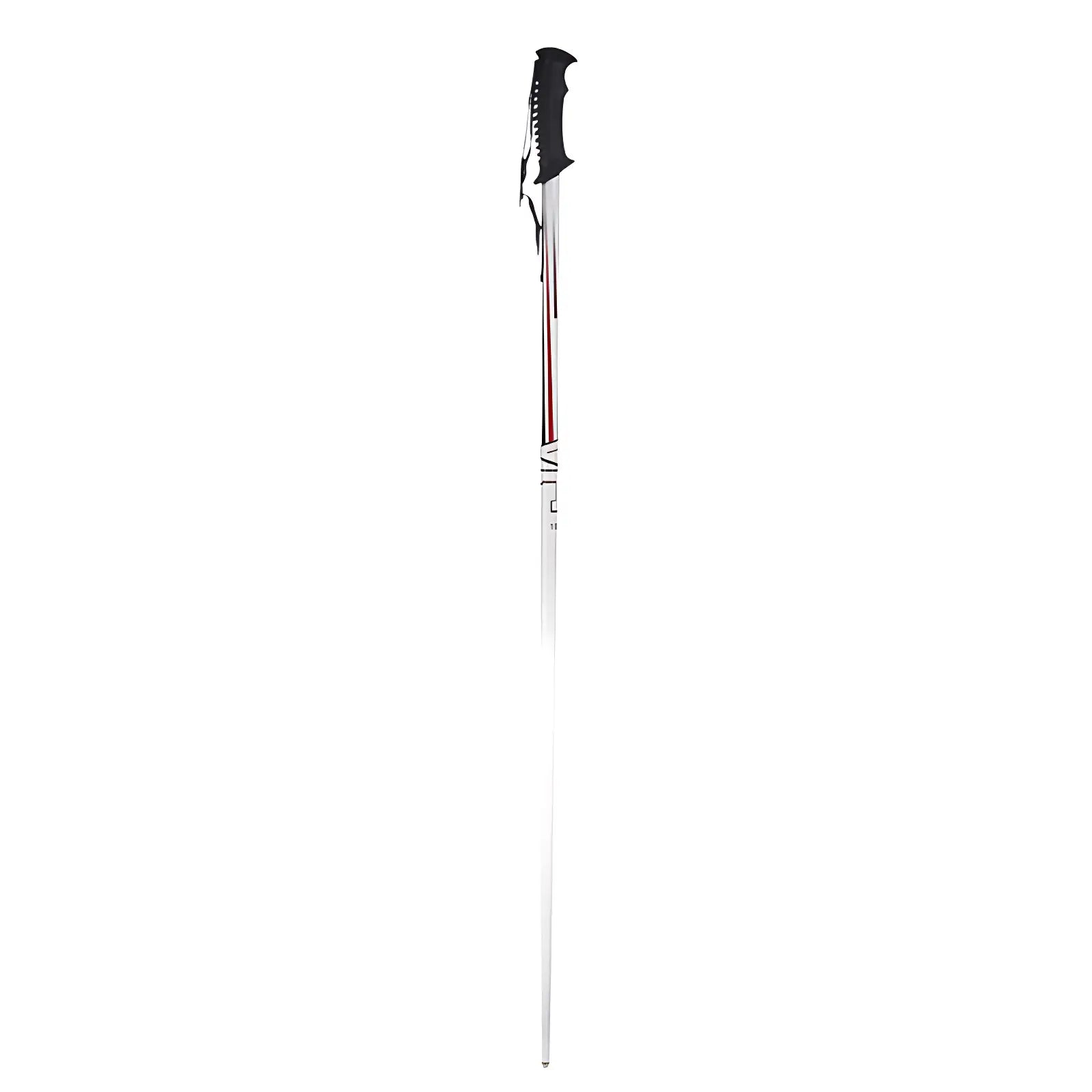 Baton de randonnée neige