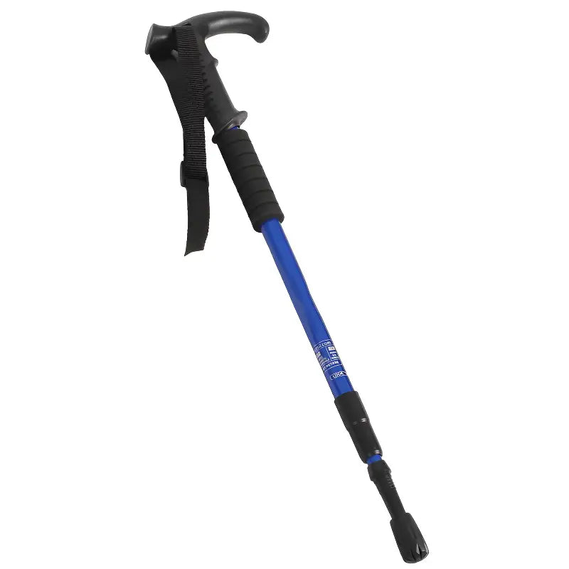 Batons de randonnée voyage