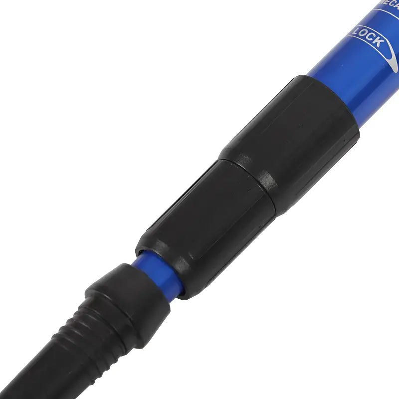 Batons de randonnée voyage