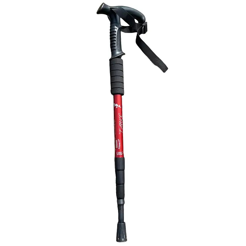 Batons de randonnée voyage