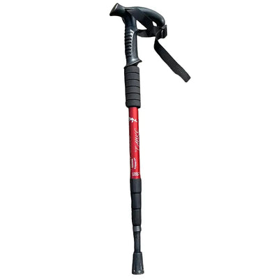 Batons de randonnée voyage