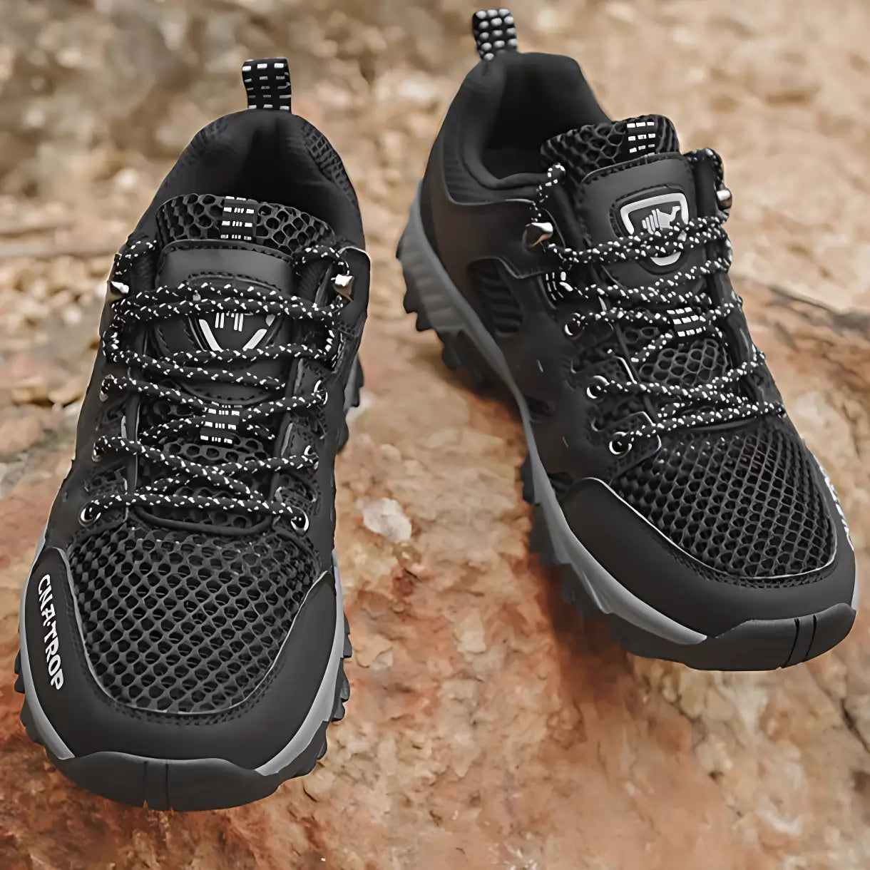 Chaussures de marche randonnée