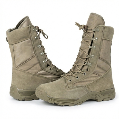 Anfibi estivi esercito