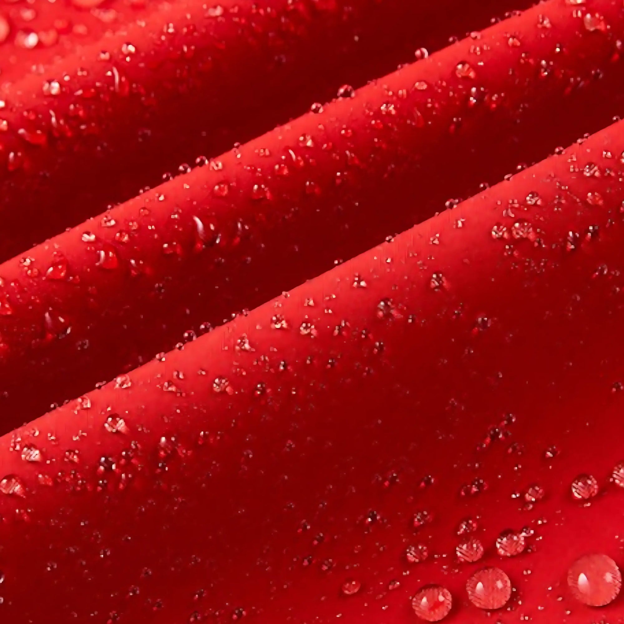 Veste softshell coupe-vent et respirante femme