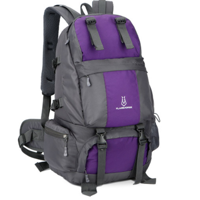 Zaino montagna 50 litri
