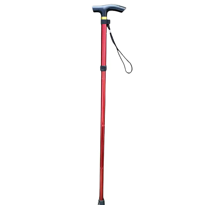 Baton de marche canne randonnée