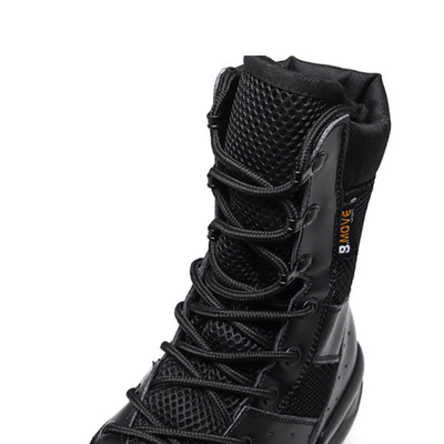 Anfibi leggeri estivi