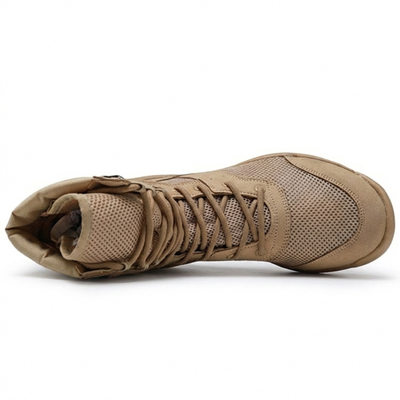 Anfibi leggeri estivi